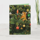 Bumblesnot : Carte de Noël "The Orange Kitty" (Devant)