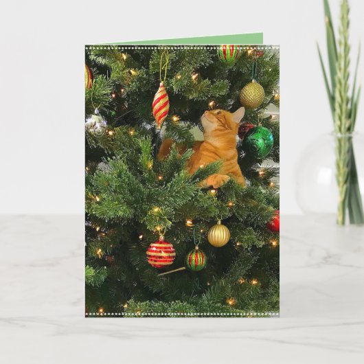 Bumblesnot : Carte de Noël "The Orange Kitty" (Devant)