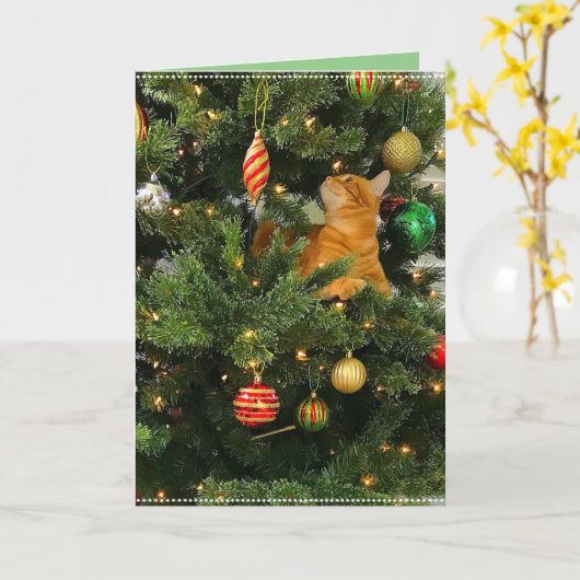 Bumblesnot : Carte de Noël "The Orange Kitty" (Fleur jaune)
