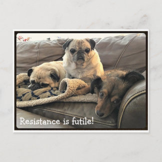 Bumblesnot : La résistance est Futile carte postal
