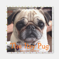 Bumblesnot magneet: De Itsy Pug