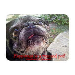 Bumblesnot magnet: Geluk is een gered huisdier. Magneet