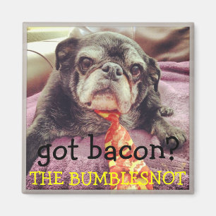 Bumblesnot magnet:  Heb je bacon? Magneet