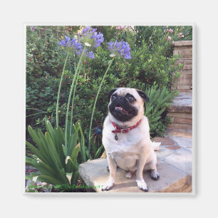 Bumblesnot magnet: Het Kind buitenshuis Magneet