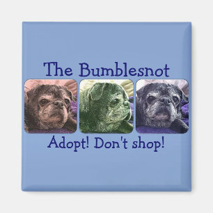 Bumblesnot magnet:  Kleur-me-bundel Magneet