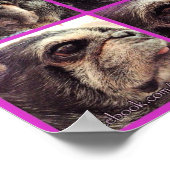 Bumblesnot Poster: Shades of Bumble Poster (Hoek)