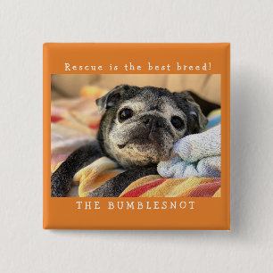 Bumblesnot-toets: Redding is het beste ras! Vierkante Button 5,1 Cm