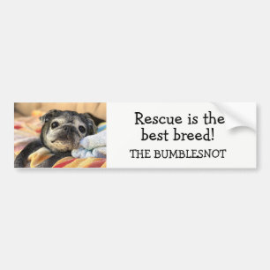 Bumblesseer, geen bumpersticker: Redding is het be Bumpersticker