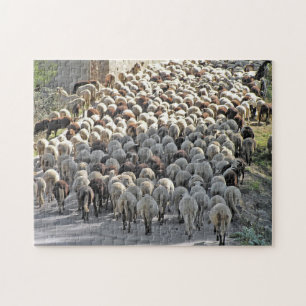 "Bummer" lastige schapenbodems puzzel