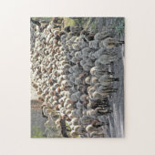 "Bummer" lastige schapenbodems puzzel (Verticaal)