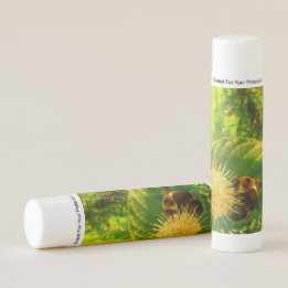 Bummering van bijen met nectar lip Balm
