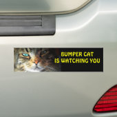 Bumper Cat kijkt naar je 4 Bumpersticker (Op auto)