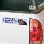 Bumper Cat kijkt naar je TAILGATE 10 Bumpersticker (Op Truck)