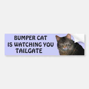 Bumper Cat kijkt naar je TAILGATE 10 Bumpersticker