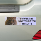 Bumper Cat kijkt naar je TAILGATE 11 Bumpersticker (Op auto)