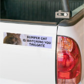 Bumper Cat kijkt naar je TAILGATE 11 Bumpersticker (Op Truck)
