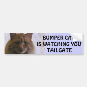 Bumper Cat kijkt naar je TAILGATE 11 Bumpersticker