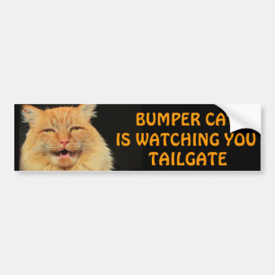 Bumper Cat kijkt naar je TAILGATE 13-thema Bumpersticker