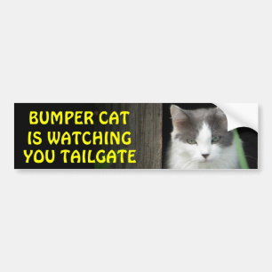 Bumper Cat kijkt naar je TAILGATE 4 Bumpersticker