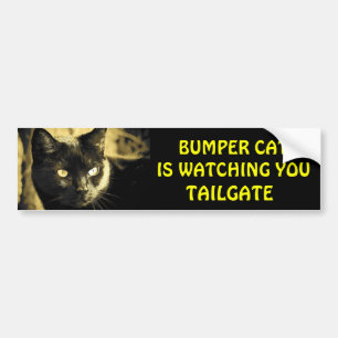 Bumper Cat kijkt naar TAILGATE 16 Bumpersticker