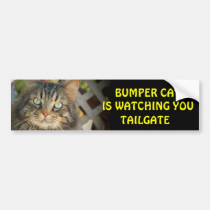 Bumper Cat kijkt naar TAILGATE 20 Bumpersticker