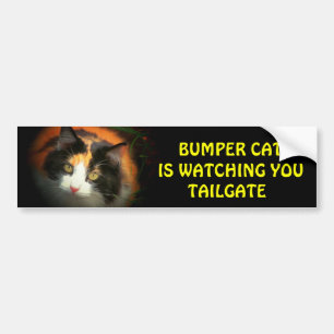 Bumper Cat kijkt naar TAILGATE 26 Bumpersticker