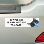Bumper Cat kijkt naar TAILGATE 30 Bumpersticker (Op auto)