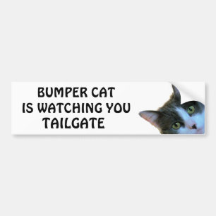 Bumper Cat kijkt naar TAILGATE 30 Bumpersticker