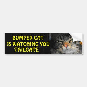 Bumper Cat kijkt naar TAILGATE 34 Bumpersticker