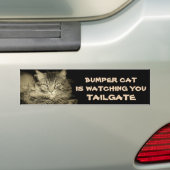 Bumper Cat kijkt naar TAILGATE 34 Grijze schaduwen Bumpersticker (Op auto)