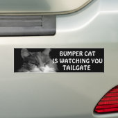 Bumper Cat kijkt naar TAILGATE 36 Meme Bumpersticker (Op auto)