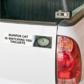 Bumper Cat kijkt naar TAILGATE 38 Bumpersticker (Op Truck)