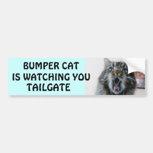 Bumper Cat kijkt naar TAILGATE 7 Bumpersticker