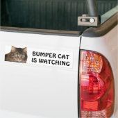 Bumper Cat volgt Bumpersticker (Op Truck)