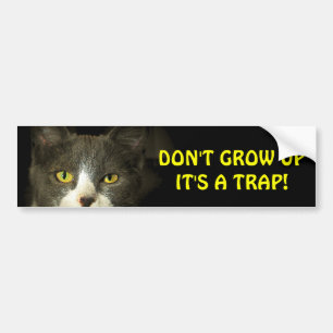 Bumper Cat zegt dat je geen meme mag opgroeien Bumpersticker