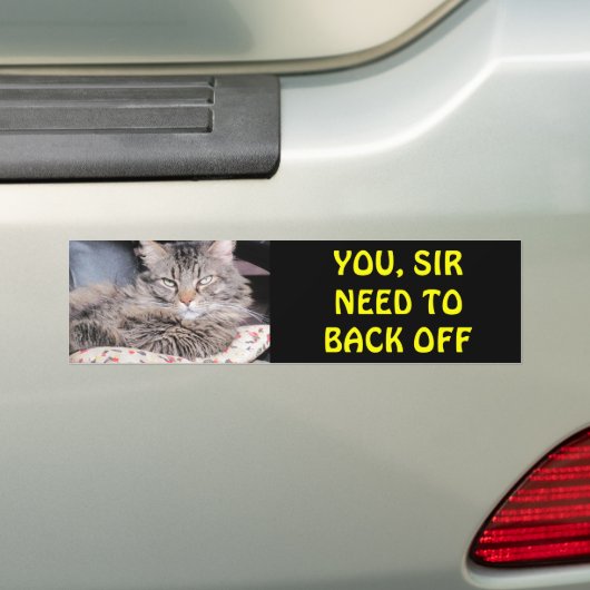 Bumper Cat zegt: "U moet terug" Bumpersticker (Op auto)