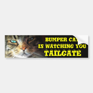 Bumper Kat kijkt naar TAILGATE 2 (oogbollettertype Bumpersticker