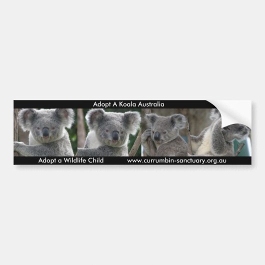 Bumper Sticker Adopter Un Koala Australie (Devant)