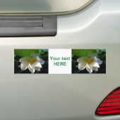 Bumper Sticker avec délicat blanc Lotus Flower (En voiture)