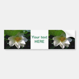 Bumper Sticker avec délicat blanc Lotus Flower
