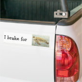 Bumper Sticker - Je freine pour les tortues de mer (Sur camion)