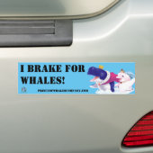 Bumper Sticker Prince of Whales I Braque For Whale (En voiture)