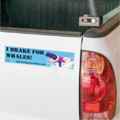 Bumper Sticker Prince of Whales I Braque For Whale (Sur camion)
