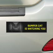 Bumper (zwart) Kat kijkt naar Bumpersticker (Op auto)