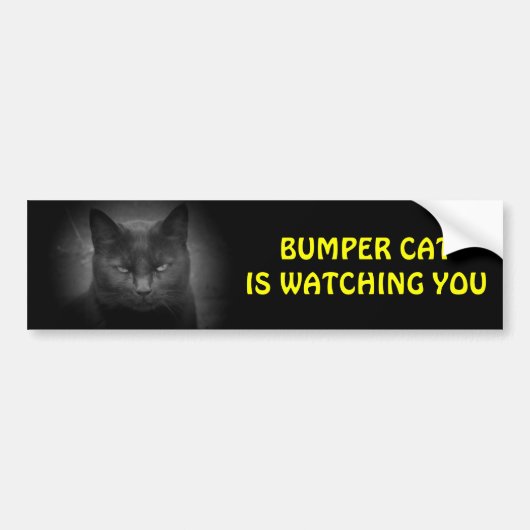Bumper (zwart) Kat kijkt naar Bumpersticker (Voorkant)