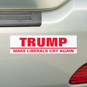  BUMPERSTICKER