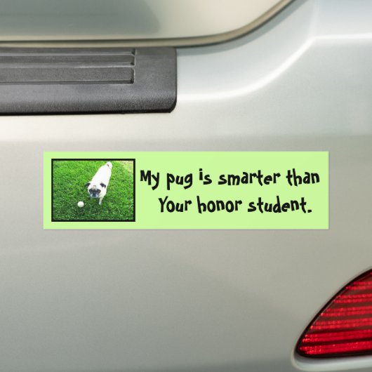 Bumpersticker (Op auto)