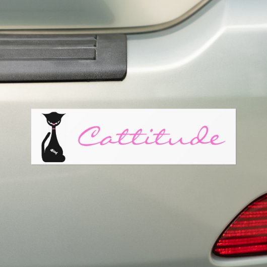 Bumpersticker (Op auto)