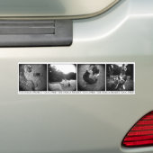 Bumpersticker (Op auto)