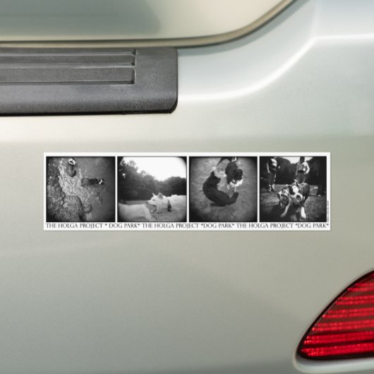 Bumpersticker (Op auto)